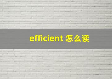 efficient 怎么读